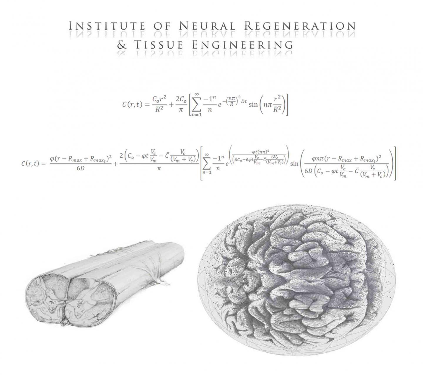 Welcome to Cell Regeneration, Cell Regeneration